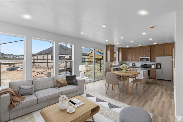 223 E 580 N, Providence, UT 84332 - living room with recessed lighting and light wood-style flooring