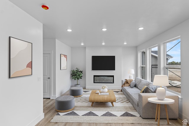 223 E 580 N, Providence, UT 84332 - living room featuring wood finished floors, recessed lighting, and a glass covered fireplace
