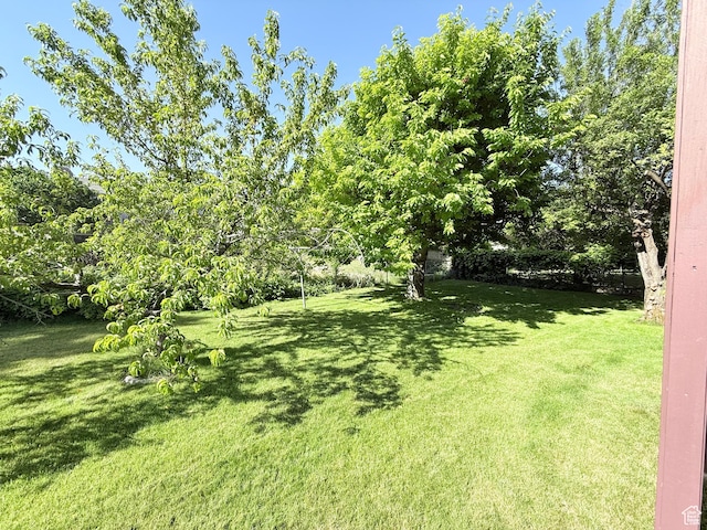3841 W Bluebird Cir, West Valley City, UT 84120 - view of green lawn
