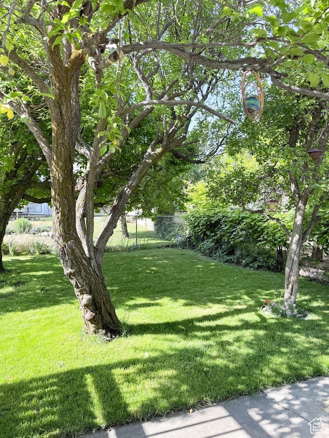 3841 W Bluebird Cir, West Valley City, UT 84120 - view of yard