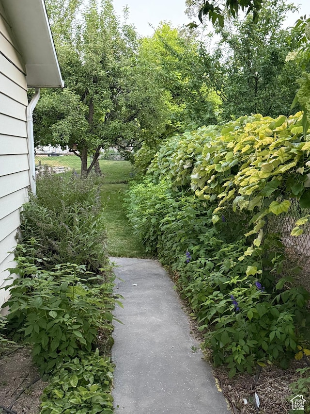 3841 W Bluebird Cir, West Valley City, UT 84120 - view of yard