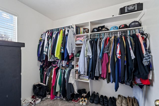 1021 Sara Ln, Ogden, UT 84404 - spacious closet featuring carpet