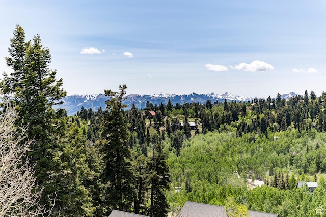 1766 W Arapaho Dr, Wanship, UT 84017 - view of mountain background featuring a forest