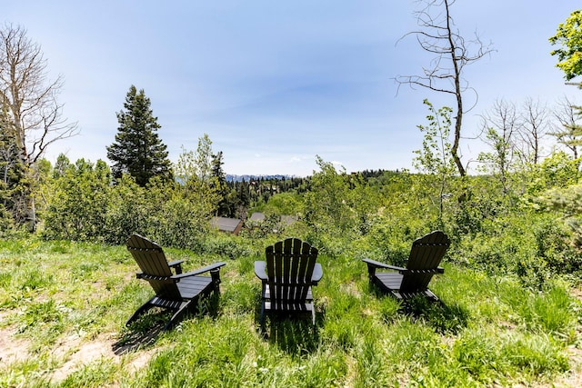 1766 W Arapaho Dr, Wanship, UT 84017 - view of yard