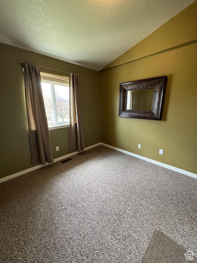 471 N 100 W, Kamas, UT 84036 - unfurnished room with lofted ceiling, carpet floors, and a textured ceiling
