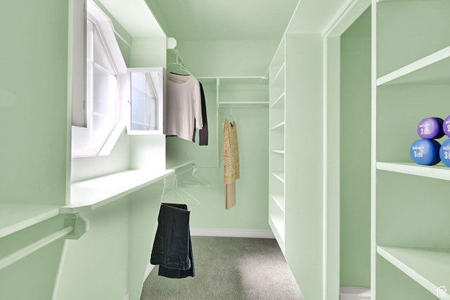 97 Hillsborough Dr, Pleasant View, UT 84414 - spacious closet with carpet flooring