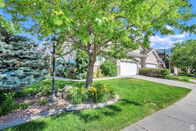 97 Hillsborough Dr, Pleasant View, UT 84414 - view of property hidden behind natural elements with driveway, a front yard, a garage, and stucco siding