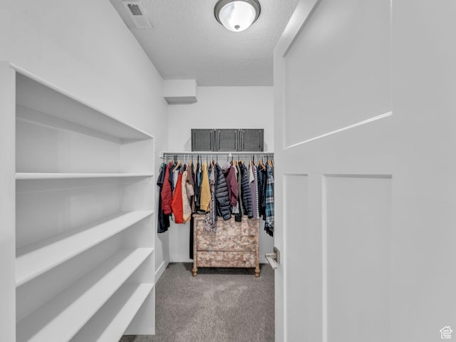 354 E 370 S, Kamas, UT 84036 - walk in closet with carpet flooring
