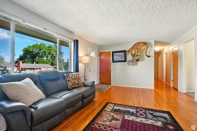 2280 N 800 E, North Logan, UT 84341 - living area with a textured ceiling and wood finished floors