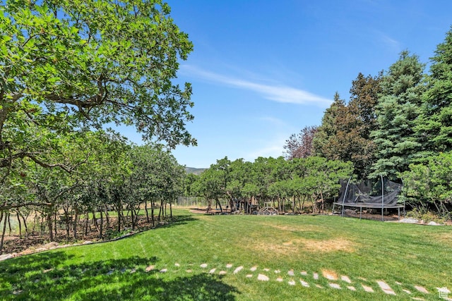 215 N Bald Mountain Dr E, Alpine, UT 84004 - view of green lawn featuring a trampoline