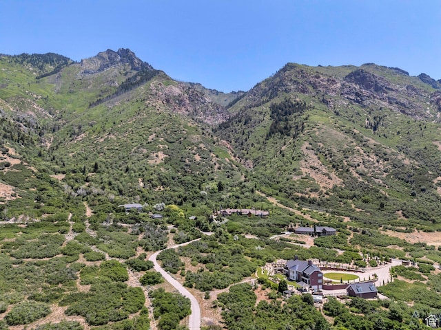215 N Bald Mountain Dr E, Alpine, UT 84004 - view of mountain background