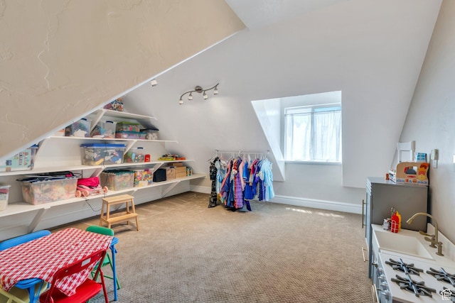 215 N Bald Mountain Dr E, Alpine, UT 84004 - game room with a sink and carpet