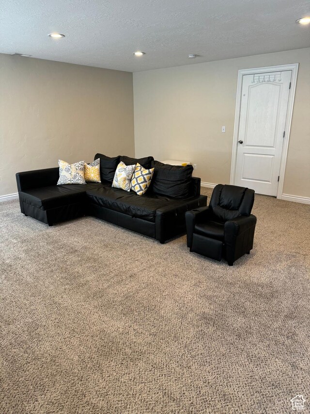 215 N Bald Mountain Dr E, Alpine, UT 84004 - living area featuring carpet, recessed lighting, and a textured ceiling