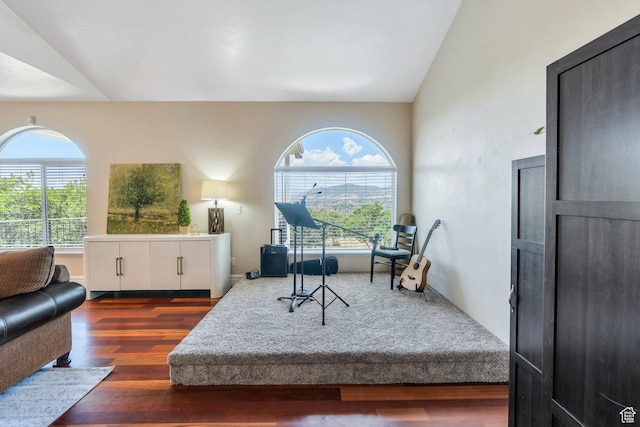 215 N Bald Mountain Dr E, Alpine, UT 84004 - living room with wood finished floors and vaulted ceiling