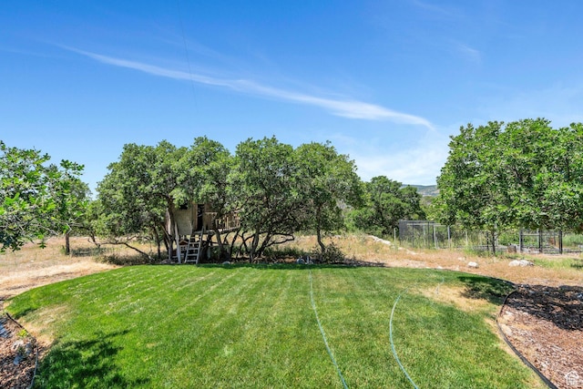 215 N Bald Mountain Dr E, Alpine, UT 84004 - view of yard