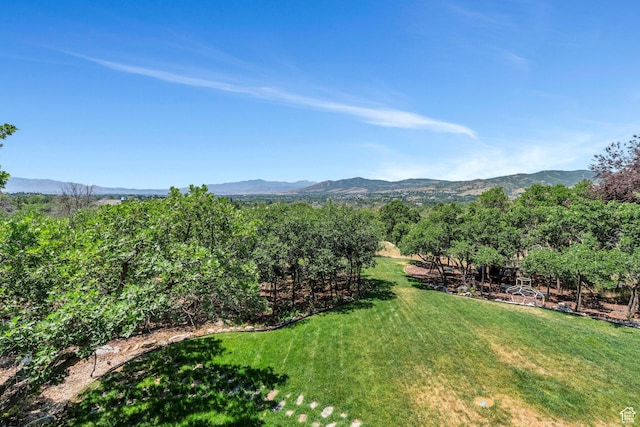 215 N Bald Mountain Dr E, Alpine, UT 84004 - view of grassy yard featuring a mountain view