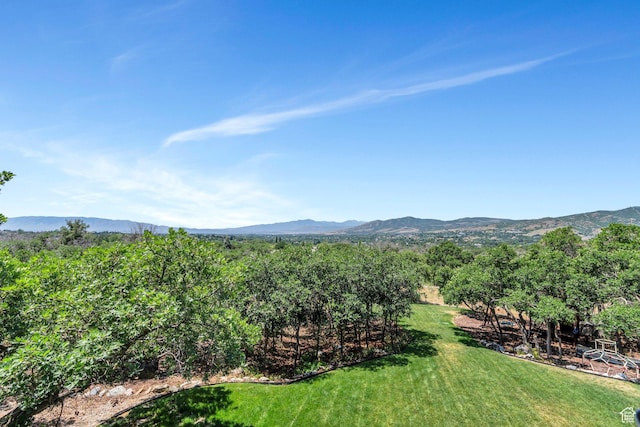 215 N Bald Mountain Dr E, Alpine, UT 84004 - mountain view