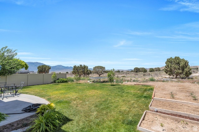 2459 E Ox Yoke Dr S, Eagle Mountain, UT 84005 - view of yard with a vegetable garden, a patio area, a mountain view, and a trampoline