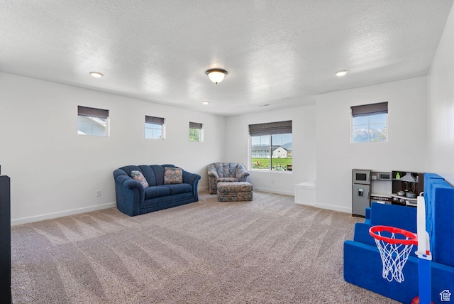 731 W 800 S, American Fork, UT 84003 - photo 25