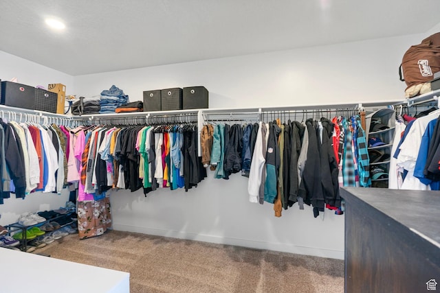 731 W 800 S, American Fork, UT 84003 - photo 19