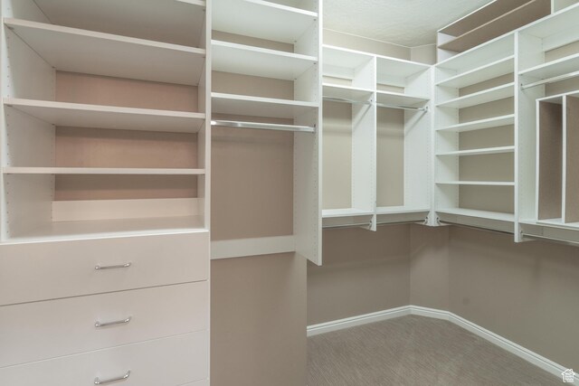 1410 W Ambassador Dr, St George, UT 84790 - walk in closet featuring carpet
