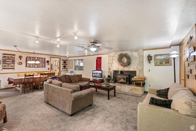 6907 E Mt Aire Rd, Salt Lake City, UT 84109 - living area featuring light carpet, ceiling fan, a wood stove, crown molding, and rail lighting