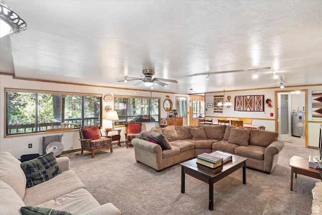 6907 E Mt Aire Rd, Salt Lake City, UT 84109 - living room featuring water heater, carpet flooring, healthy amount of natural light, and a ceiling fan