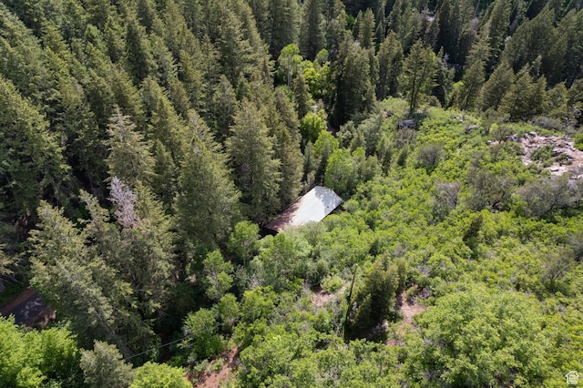 6907 E Mt Aire Rd, Salt Lake City, UT 84109 - bird's eye view of a heavily wooded area