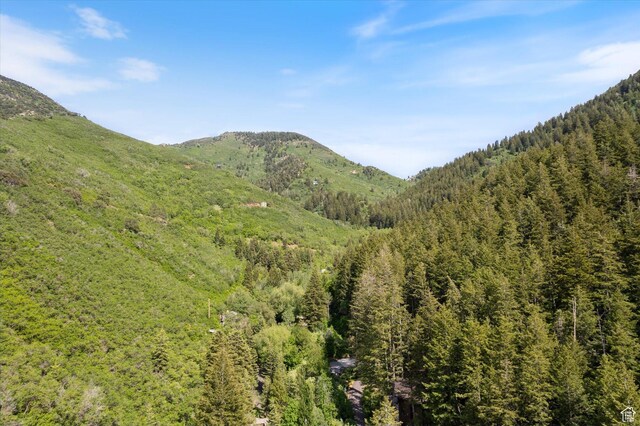 6907 E Mt Aire Rd, Salt Lake City, UT 84109 - view of mountain background with a forest
