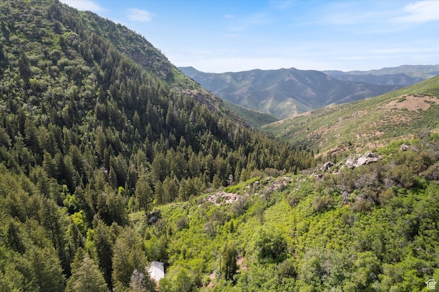 6907 E Mt Aire Rd, Salt Lake City, UT 84109 - view of mountain backdrop featuring a forest