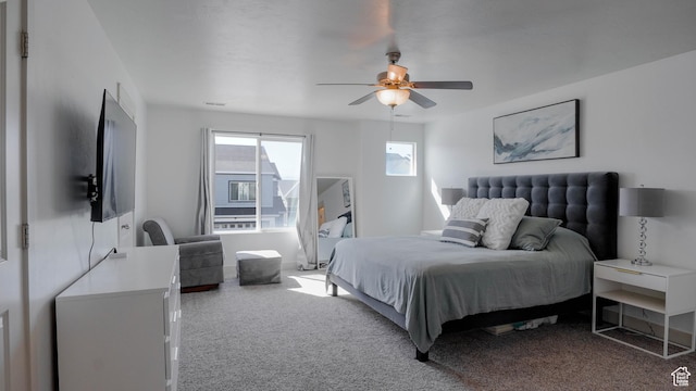 15113 S Bright Stars Dr, Bluffdale, UT 84065 - bedroom with carpet and ceiling fan