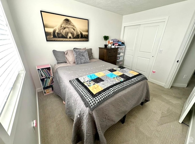 856 S 250 W, American Fork, UT 84003 - bedroom with carpet and a closet