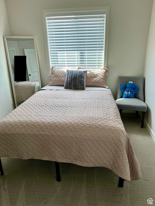 856 S 250 W, American Fork, UT 84003 - bedroom with carpet and baseboards