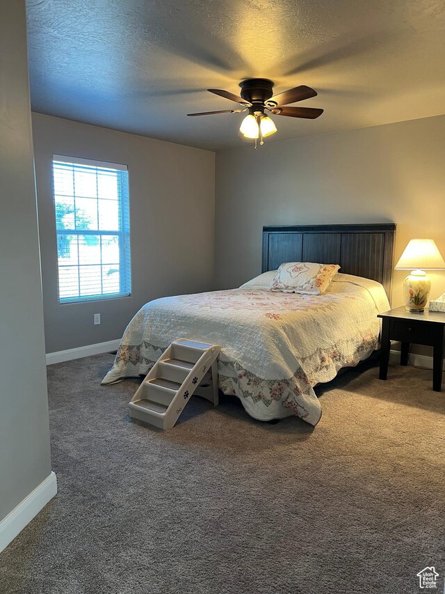 305 E Parker Mountain Rd S, Antimony, UT 84712