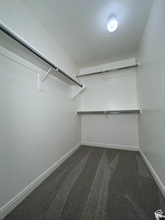 5558 W Dornton Ct, Herriman, UT 84096 - spacious closet with dark colored carpet