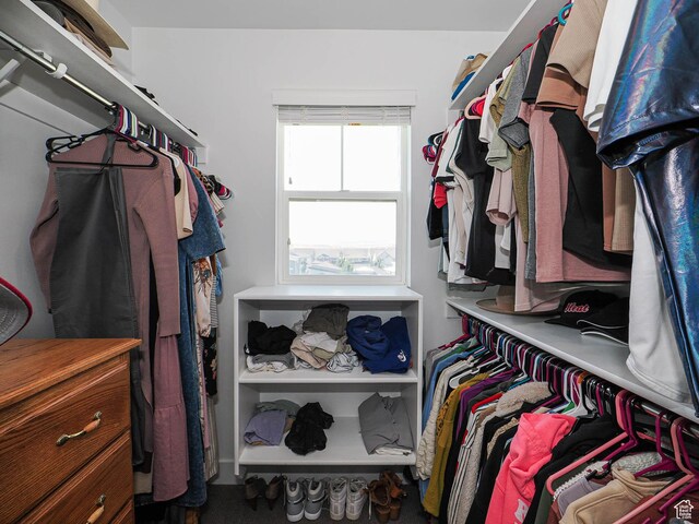 1051 W Narrows Ln S, Bluffdale, UT 84065 - view of walk in closet