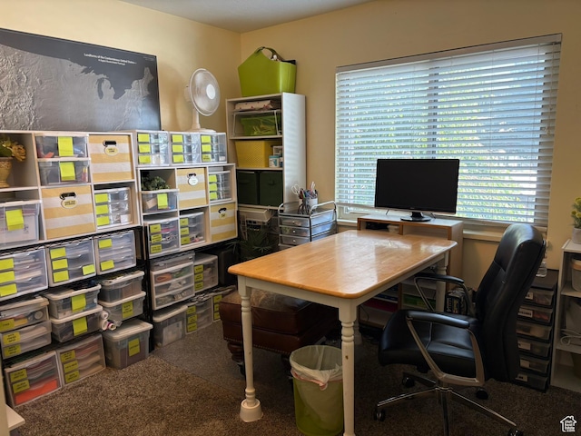 8158 S Cottonwood Hills Cir, Sandy, UT 84094 - view of carpeted office