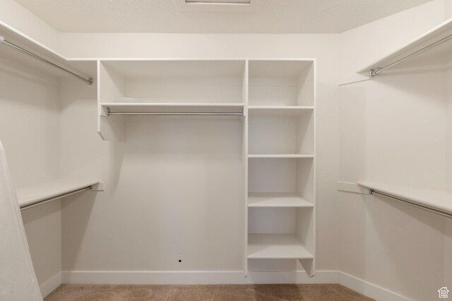 1611 N 3860 W, Lehi, UT 84043 - spacious closet with light colored carpet