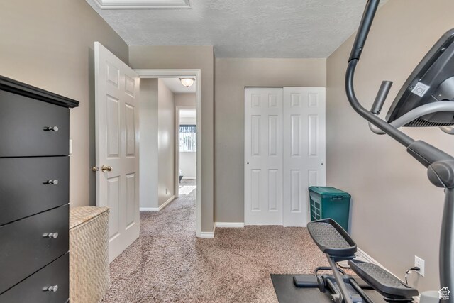 6925 S Sparrowtail Rd W, West Jordan, UT 84081 - workout room with carpet floors and a textured ceiling