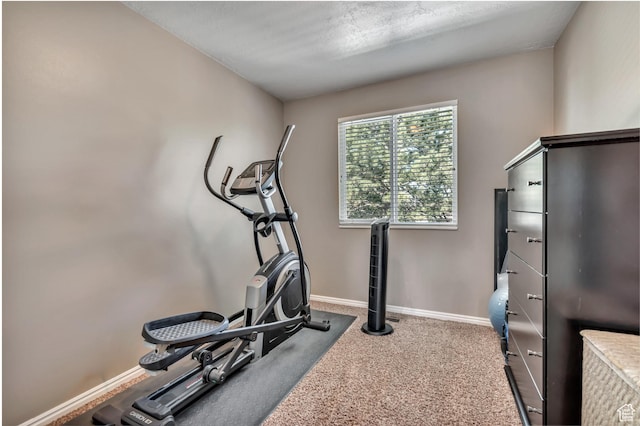 6925 S Sparrowtail Rd W, West Jordan, UT 84081 - exercise area featuring baseboards and carpet flooring