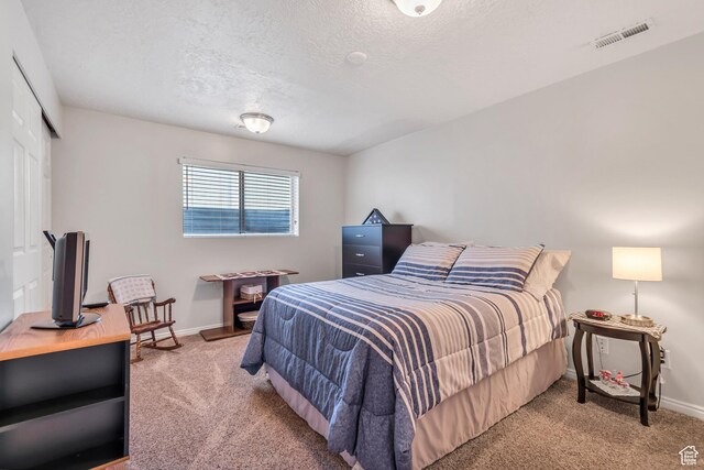 6925 S Sparrowtail Rd W, West Jordan, UT 84081 - bedroom featuring carpet, a textured ceiling, and a closet