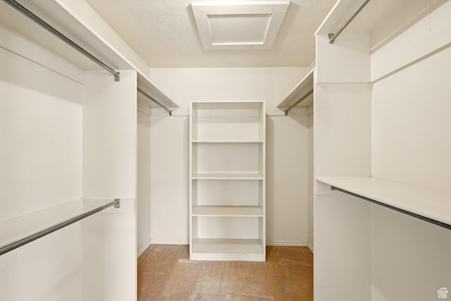 42 S Juniper Dr, Cedar City, UT 84720 - spacious closet with light carpet