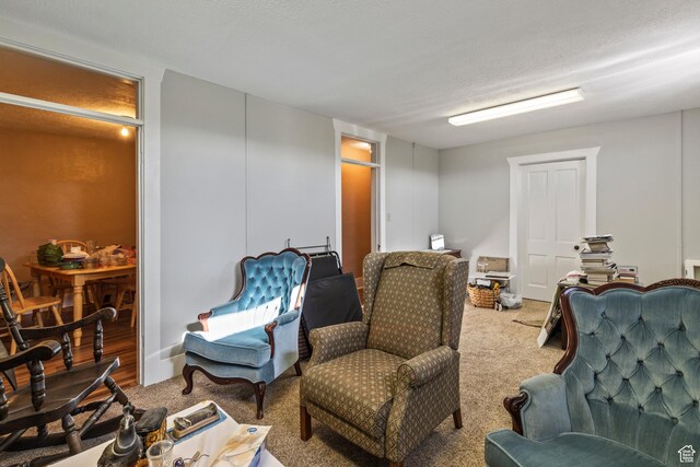 125 S Main St, Centerfield, UT 84622 - living area with carpet floors