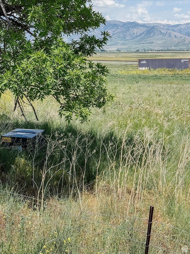 7150 N 4800 W, Newton, UT 84327 - photo 16