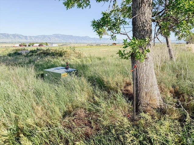 7150 N 4800 W, Newton, UT 84327 - photo 17