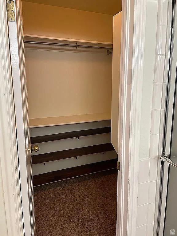 1118 E Chokeberry Dr, St George, UT 84790 - view of closet