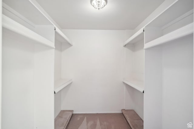 777 E S Temple N Unit 9J, Salt Lake City, UT 84102 - walk in closet featuring carpet flooring