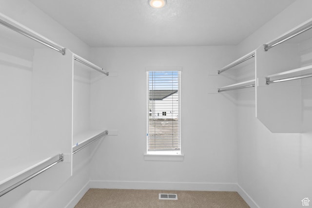 511 S 1225 W Unit 102, Logan, UT 84321 - walk in closet with light colored carpet
