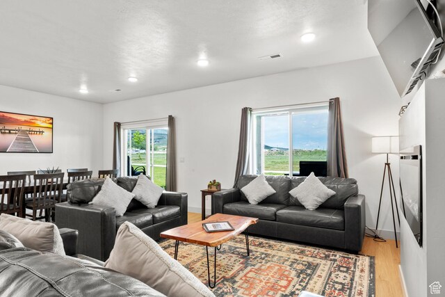 140 W 150 S Unit I34, Garden City, UT 84028 - living area with light wood-type flooring and recessed lighting