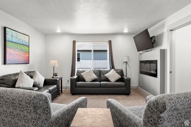 140 W 150 S Unit I34, Garden City, UT 84028 - carpeted living room with baseboards